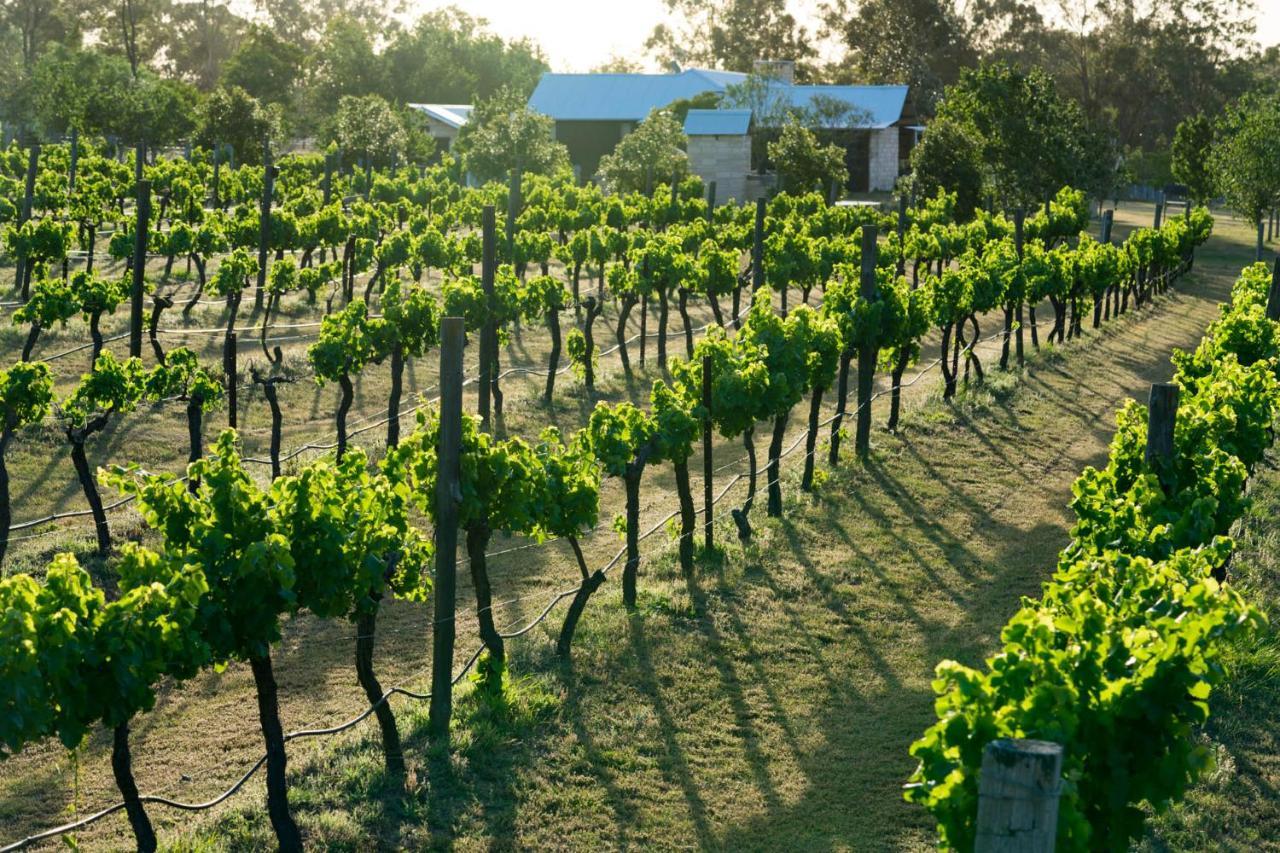 Thistle Hill Guesthouse - Walk To Many Wineries And Restaurants Pokolbin Exterior foto